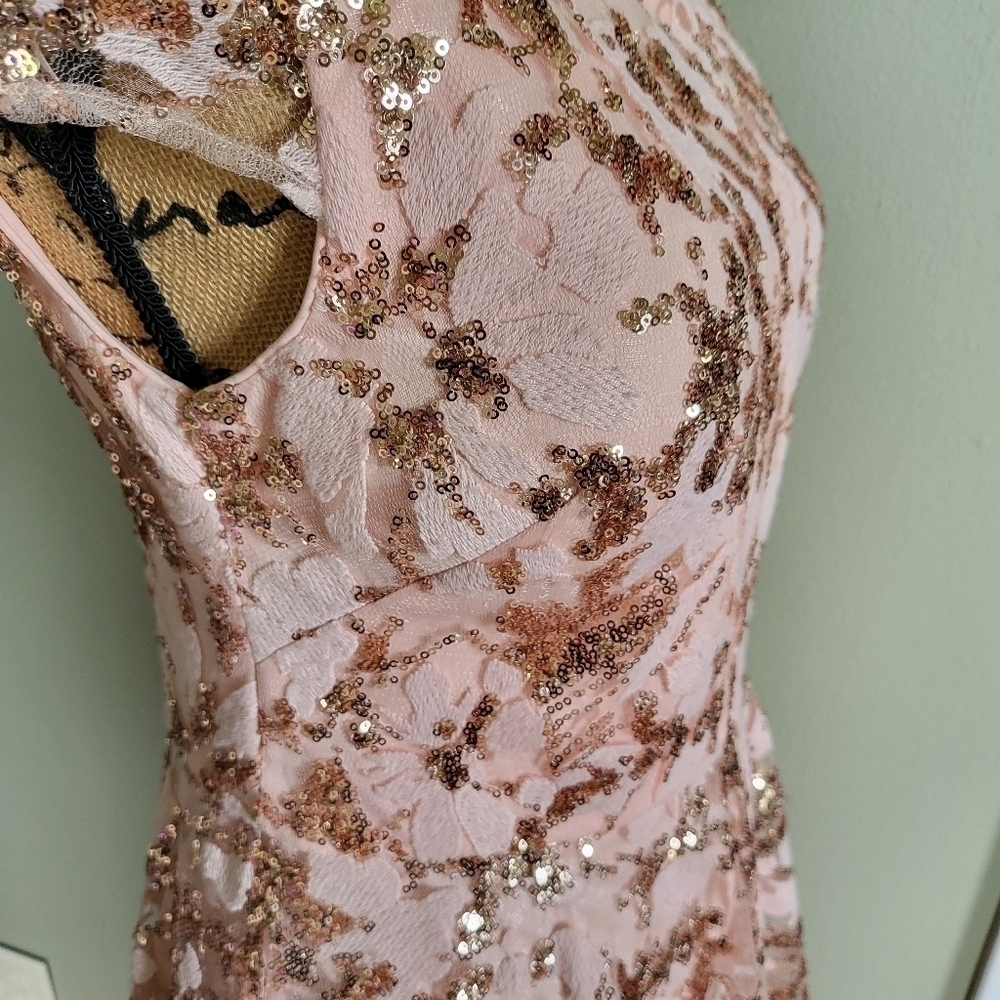 Eliza J Blush Embroidered Sequined High Low Evening Gown - Picture 3 of 6